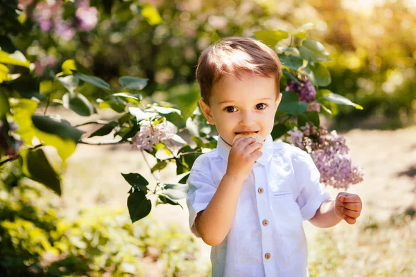 Tanımlama bilgisinde yaz ile güneş ışığı, güzel bebek çocuk çocukluk