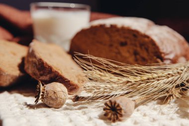 Spikelets kök ve haşhaş ekmek önünde süt Kahvaltı, gıda arka plan