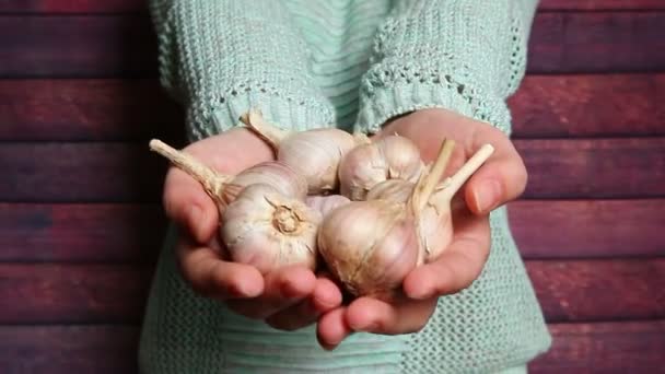 Ajo Mano Con Ingrediente Alimentario Saludable Especias — Vídeo de stock