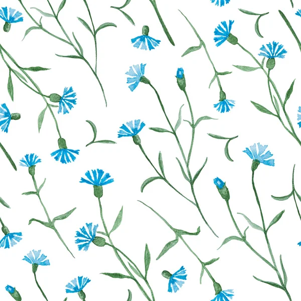 Plante Bleuets Avec Des Fleurs Bleues Peinture Aquarelle Motif Sans — Photo