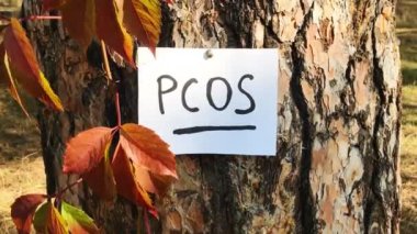 Pcos - polisistik yumurtalık sendromu, kadın hormon hastalığı doğayla ilgili kağıda yazılmış harfler.