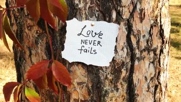 Love Never Fails Card Biblical Quote Christian Lettering Paper Nature — ストック動画