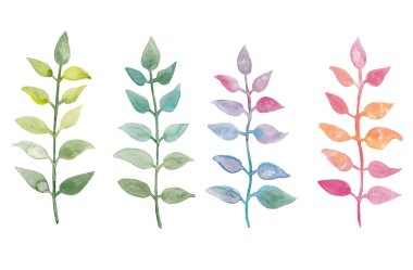 Yapraklı renkli dal seti, suluboya resim - beyaz arkaplanda izole edilmiş el çizimi