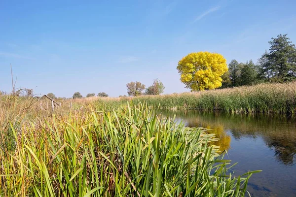 küçük bir göl kıyısında güzel güneşli bir sonbahar gün