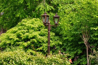 Pozte de luz em meio ao verde