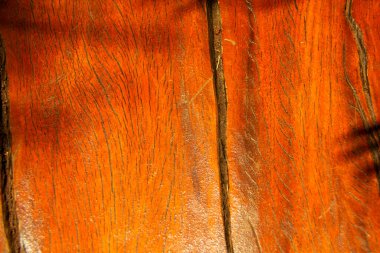 Textura diferente com beleza e sükunet