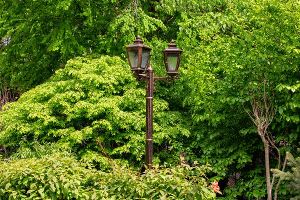 Pozte de luz em meio ao verde