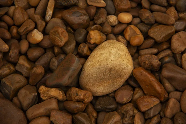 Textura diferente com beleza e sükunet