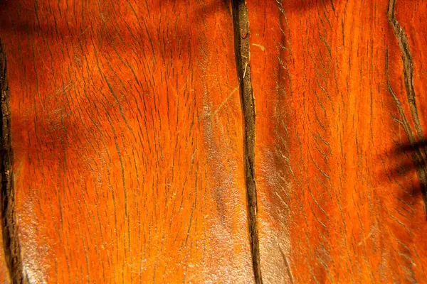 Textura diferente com beleza e sükunet