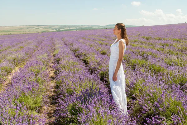 Uma menina está andando em um campo de lavanda — Fotografia de Stock