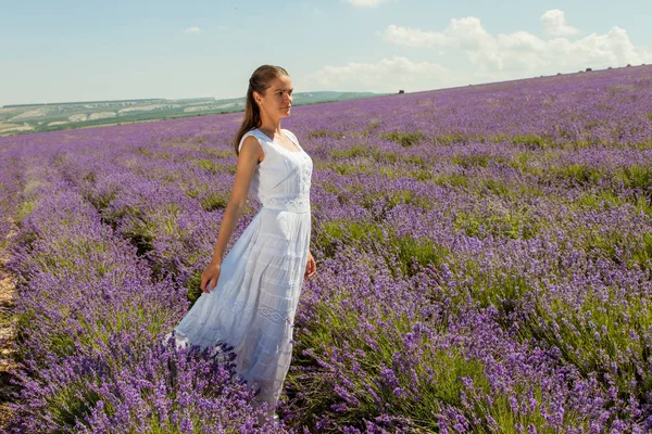 Uma menina está andando em um campo de lavanda — Fotografia de Stock