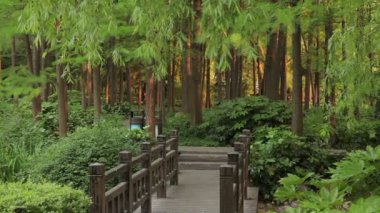 shanghai Şehir Parkı