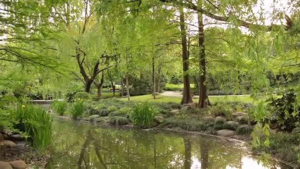 Stadtpark von Shanghai — Stockvideo