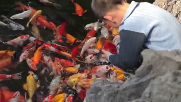 Jade Buddha Temple Shanghai — Wideo stockowe