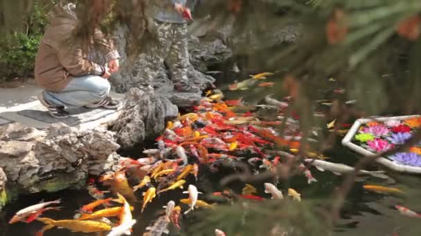 Jade Buddha Temple Σαγκάη — Αρχείο Βίντεο