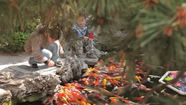 Jade Buddha Temple Shanghai — Stock Video