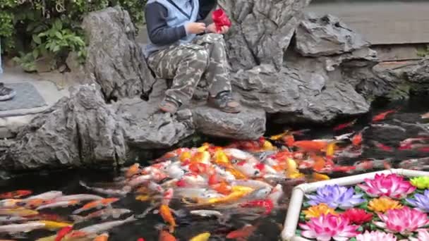 Templo de Buda de Jade Shanghai — Vídeo de Stock