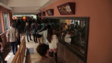 Shanghai Hayvanat bahçesini ziyaret.