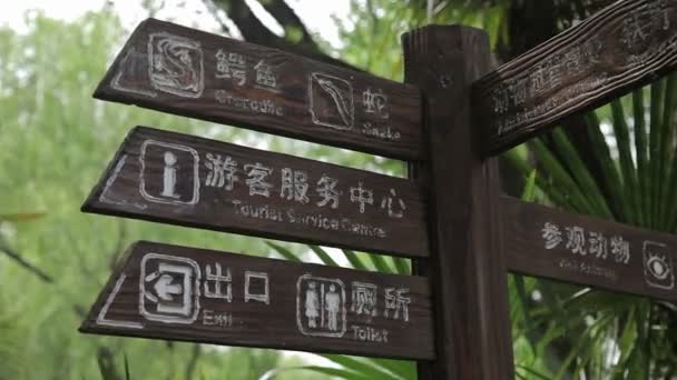 上海動物園を訪問します。. — ストック動画