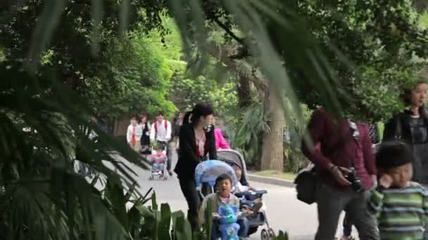 Visita lo zoo di Shanghai . — Video Stock