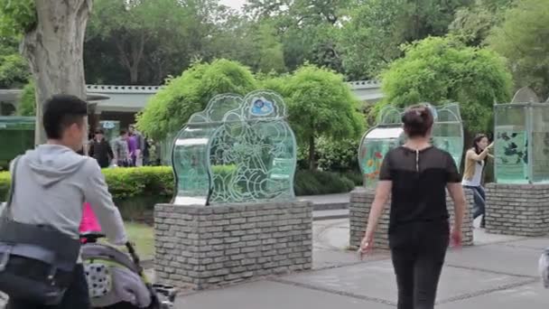 Visita lo zoo di Shanghai . — Video Stock