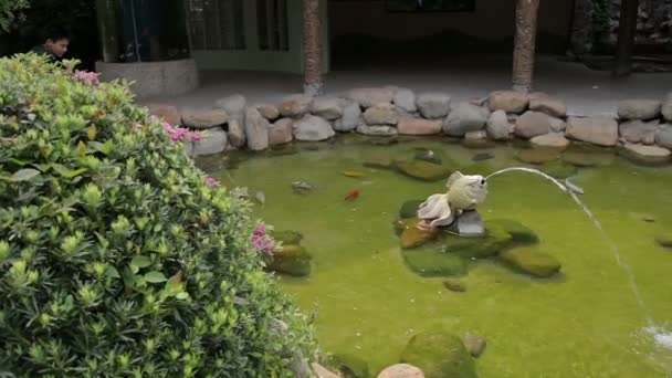 Visite du zoo de Shanghai . — Video