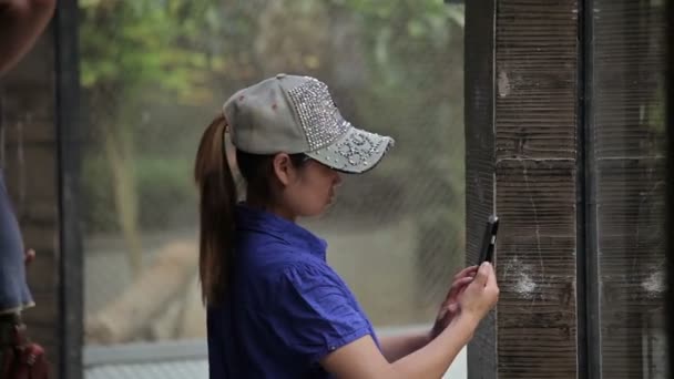 Shanghai Hayvanat bahçesini ziyaret. — Stok video