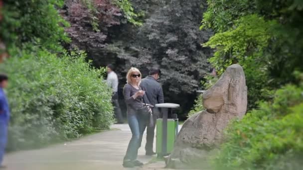 Besuch des Shanghai-Zoos. — Stockvideo