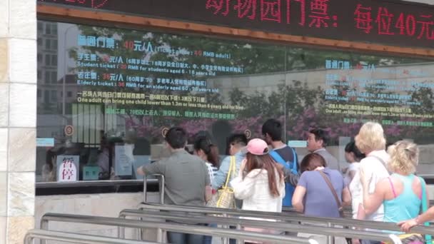 Besuch des Shanghai-Zoos. — Stockvideo