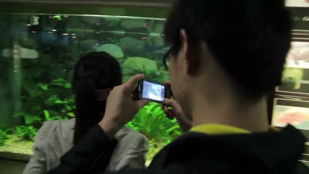 Посетите Шанхайский зоопарк . — стоковое видео
