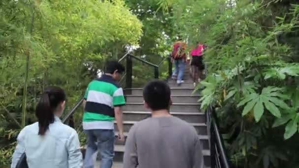 Shanghai Çin Nisan Mayıs 2013 Turistler Yerel Halk Shanghai Hayvanat — Stok video