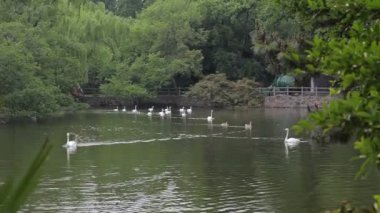 Shanghai Hayvanat bahçesini ziyaret.