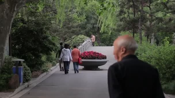 Besöka Shanghai Zoo. — Stockvideo