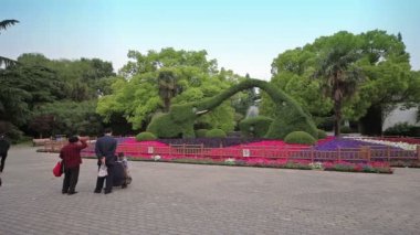 Shanghai Hayvanat bahçesini ziyaret.