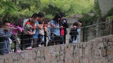 Shanghai Hayvanat bahçesini ziyaret.