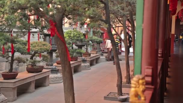 Templo de Buda de Jade Shanghai — Vídeo de stock