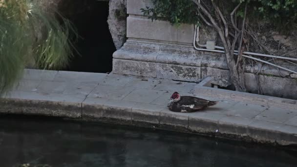 Siracusa, a cidade velha — Vídeo de Stock