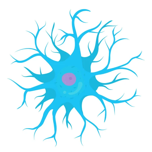 Anaxonic Neuron Cell — Stock Vector