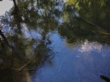 Nehir yatak ve su yüzeyindeki yansımanın