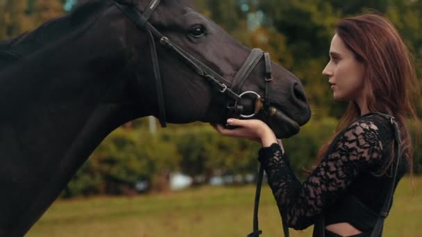 Cavalo castanho junto com sua menina favorita Jovem. Imagem de verão horizontal ao ar livre colorida — Vídeo de Stock