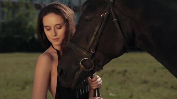 Cavalo castanho junto com sua menina favorita Jovem. Imagem de verão horizontal ao ar livre colorida — Vídeo de Stock