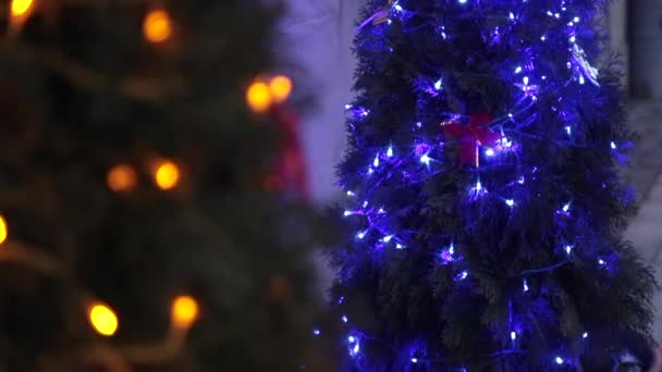 Duas árvores de Natal decoradas com brinquedos de árvore de Natal azul e decorações de Natal — Vídeo de Stock