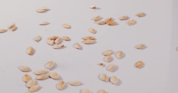 Pumpkin Seeds Falling Onto White Table Prores Codec — Stock Video