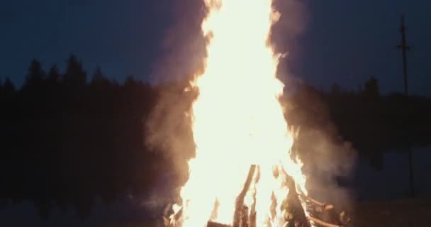 Μια μεγάλη φωτιά καίει ανάμεσα στο γκαζόν. Campfire. Σκοποβολή στο σταθερό. ProRes — Αρχείο Βίντεο