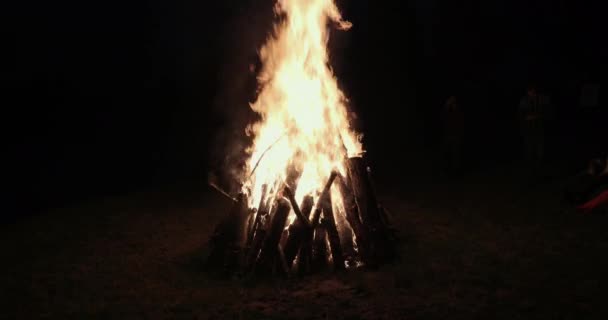 Auf dem Rasen brennt ein großes Feuer. Lagerfeuer. Vertikalpanorama. prores — Stockvideo