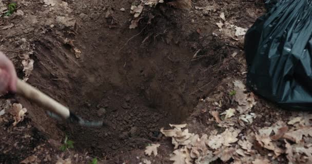 Bir Adam Çukur Kazıyor. Bir Adam Ölü Bir Köpeği Kazılmış Bir Deliğe Atar. Köpek için mezar. Hayvanları öldürmek. Prores, Yavaş Hareket — Stok video