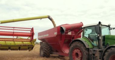 Hasat Çırçır Buğday Boşaltma. Traktör Römork TankıNda Aşırı Tahıl Hasat Makinesi Tarlada. Prores, Yavaş Hareket