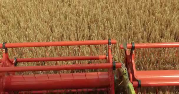 Maaidorser. Reaper. Agment. Combineer Harvester close up. Detail van graan Harvester afwerking van sojabonen oogst, laat in de zomer. ProRes, Slow Motion — Stockvideo