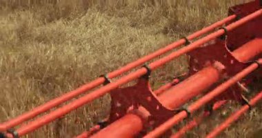 Harvester'ı birleştir. Reaper. Agment, ne oldu? Harvester Close Up'ı birleştirin. Kuru Fasulye Hasat Bitirme Tahıl Hasat Detay, Yaz Sonu. Prores, Yavaş Hareket