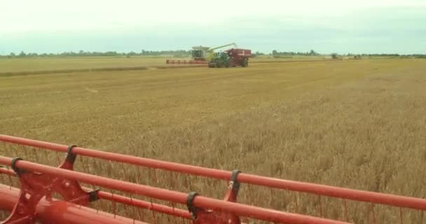 Skördetröska. Reaper. Agment. Skördetröskan på nära håll. Detalj av spannmåls skördaren färdigställande sojabönor skörd, sensommaren. ProRes, slow motion — Stockvideo